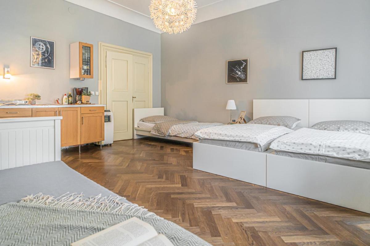 شقة Bright Studio Close To Charles Bridge And Prague Castle المظهر الخارجي الصورة